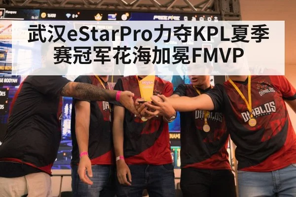 武汉eStarPro力夺KPL夏季赛冠军花海加冕FMVP