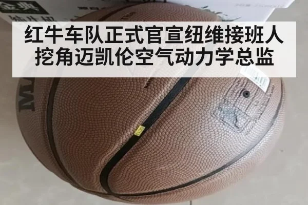 红牛车队正式官宣纽维接班人 挖角迈凯伦空气动力学总监